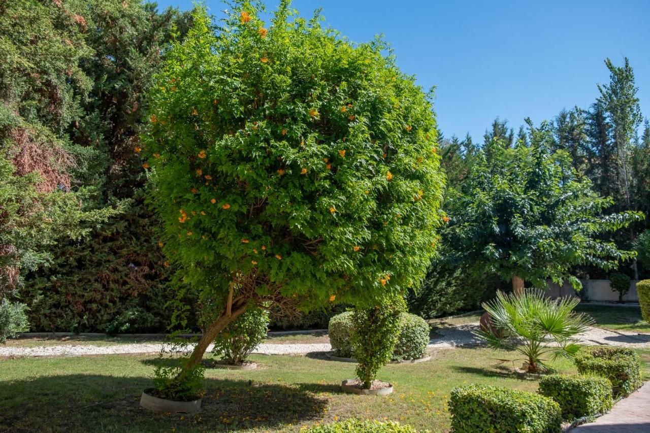 Stylish 2 Bedroom Apartment In Pegia Peyia Luaran gambar